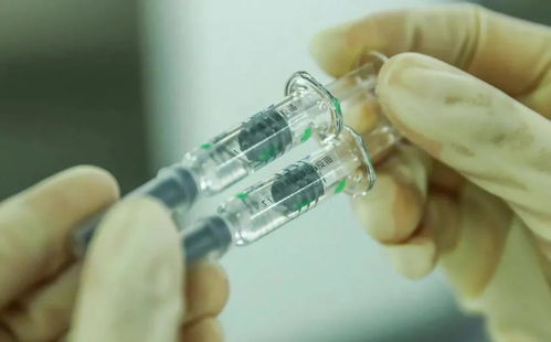 北京芯詣解讀 新冠病毒持續變異，你最關心的五大問題都在這里